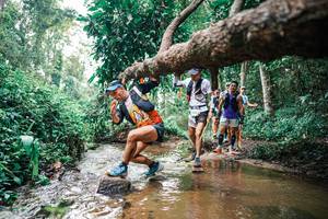 BIB: 
                            <button type="button" onclick="openModal(25368696)" class="btn btn-primary btn-sm float-right btn-popup" data-toggle="modal" data-target=".modal-high-quality">
                        <i class="fas fa-shopping-cart"></i> Add to Cart
                    </button>
                                            <button type="button" onclick="isThisMe(25368696, true)" class="btn btn-success btn-sm float-right btn-popup btn-isme hidden" data-toggle="tooltip" data-placement="bottom" title="นี่คือรูปของคุณใช่ไหม คลิกที่นี่เพื่อเอาเข้าอัลบั้ม">
                        <i class="fas fa-plus"></i> Add to album
                    </button>
                    <button type="button" onclick="isThisMe(25368696, false)" class="btn btn-warning btn-sm float-right btn-popup btn-isnotme hidden">
                        <i class="fas fa-ban"></i> Remove from album
                    </button>